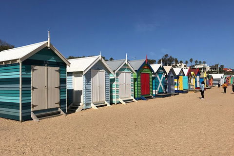 Phillip Island Penguin Parade, Brighton Bathing Boxes And Wildlife Park Tour - Tourism Brisbane 3
