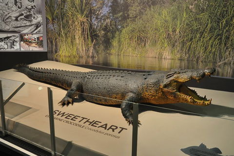 Explore Darwin City Sights Including Key Attractions - Brisbane Tourism 2
