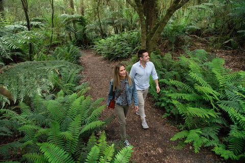 Great Ocean Road Full Coastal Tour - 3 Days, 2 Nights - Tourism Brisbane 4