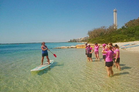 Golden Beach 1-Hour Stand-Up Paddleboard Hire On The Sunshine Coast - Tourism Brisbane 1