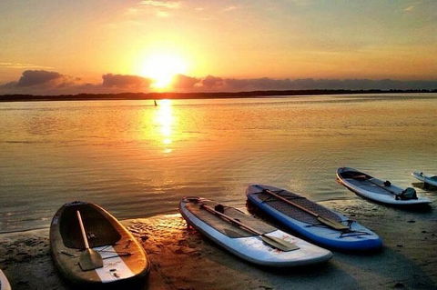 Golden Beach 1-Hour Stand-Up Paddleboard Hire On The Sunshine Coast - Tourism Brisbane 2