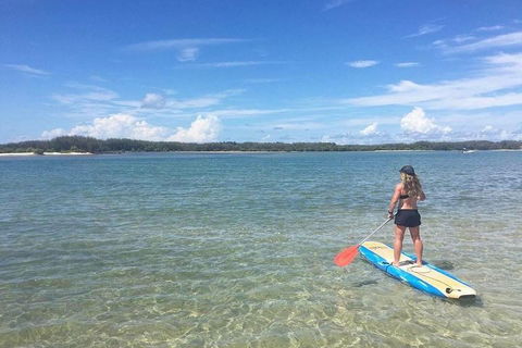 Golden Beach 1-Hour Stand-Up Paddleboard Hire On The Sunshine Coast - Tourism Brisbane 4