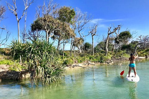 Golden Beach 1-Hour Stand-Up Paddleboard Hire On The Sunshine Coast - Tourism Brisbane 5