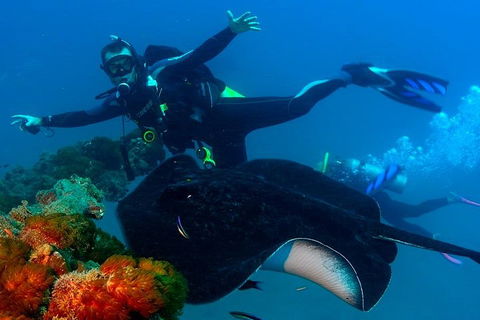 Scuba Dive The S.S. Yongala Wreck On The Great Barrier Reef. - Tourism Brisbane 0