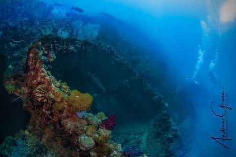 Scuba Dive The S.S. Yongala Wreck On The Great Barrier Reef. - Tourism Brisbane 3