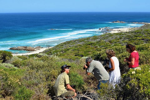 Margaret River Coastal And Wildlife Eco Trip From Busselton Or Dunsborough - Tourism Brisbane 2