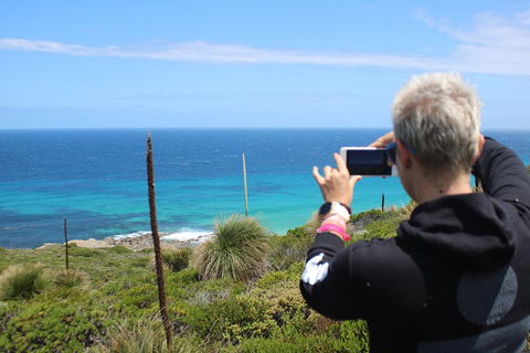Margaret River Coastal And Wildlife Eco Trip From Busselton Or Dunsborough - Tourism Brisbane 3