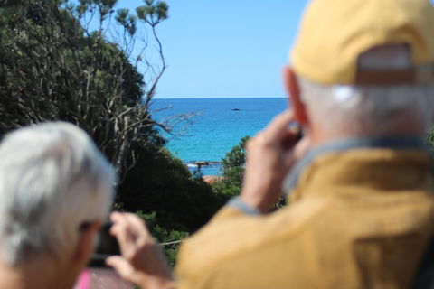 Margaret River Coastal And Wildlife Eco Trip From Busselton Or Dunsborough - Tourism Brisbane 5